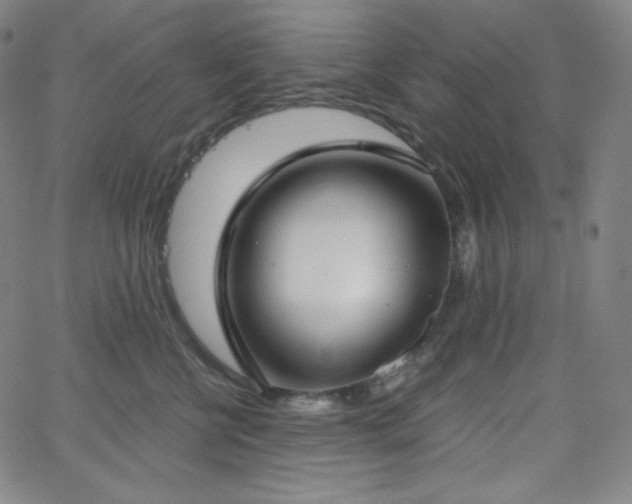 X0000068760570200604281215