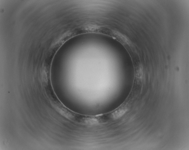 X0000068760572200604281215
