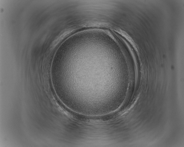 X0000068760577200604281215