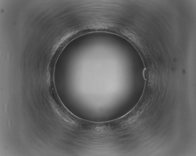 X0000068760584200604281215