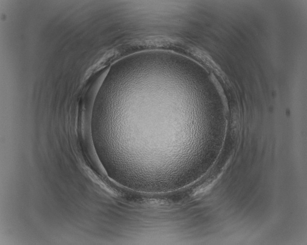 X0000068760585200604281215