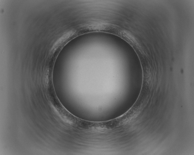 X0000068760586200604281215