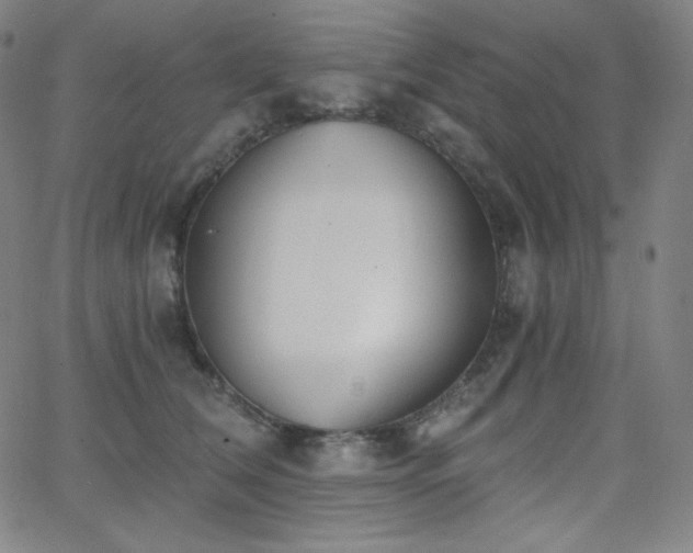 X0000068760612200604281214
