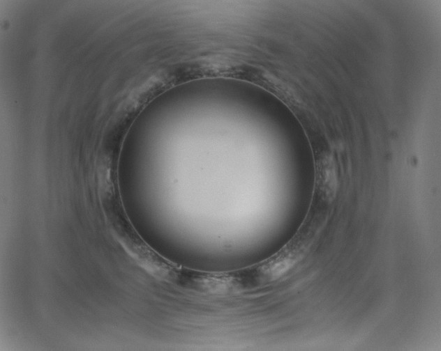 X0000068760615200604281214