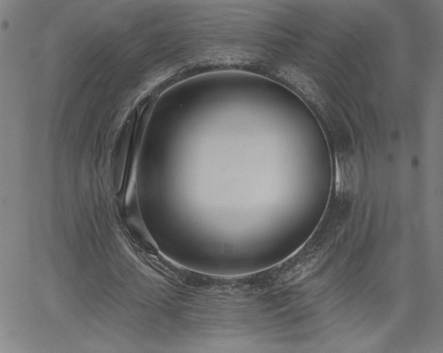 X0000068760627200604281213