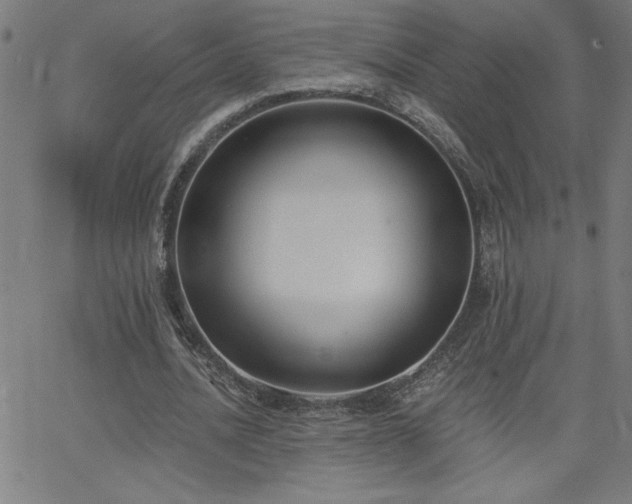 X0000068760628200604281213