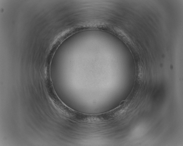 X0000068760636200604281213