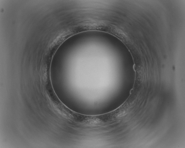 X0000068760642200604281213