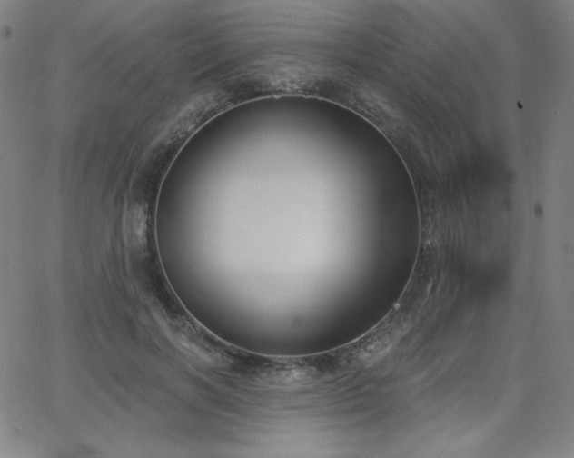 X0000068760646200604281213