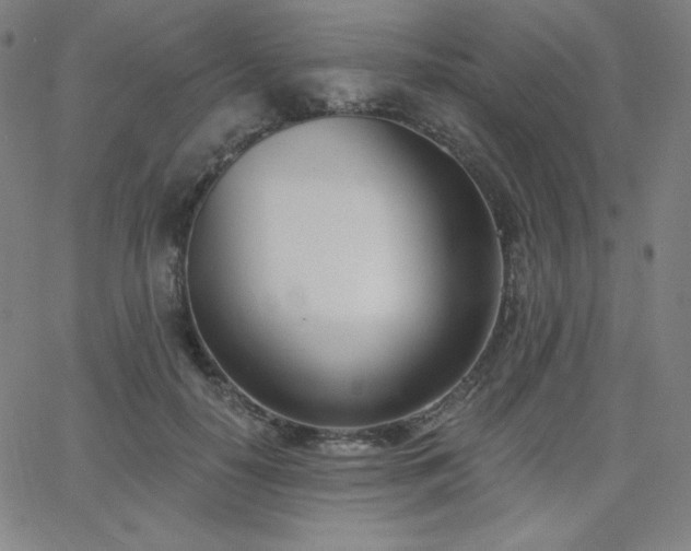 X0000068760650200604281214