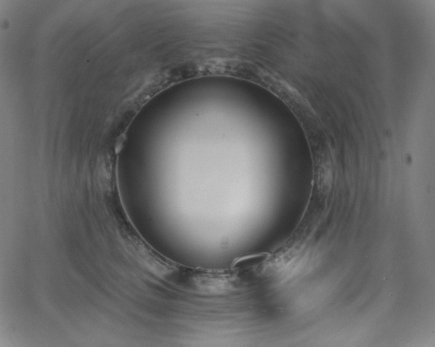 X0000068760661200604281214
