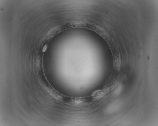 X0000068760662200604281214