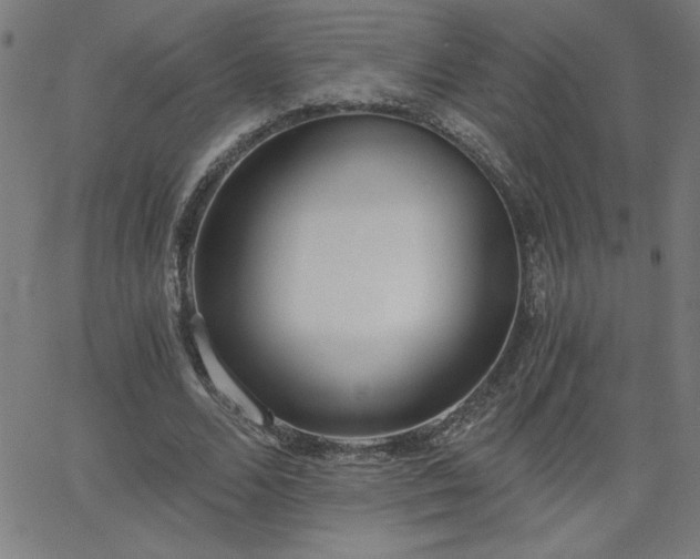 X0000068760680200604281213