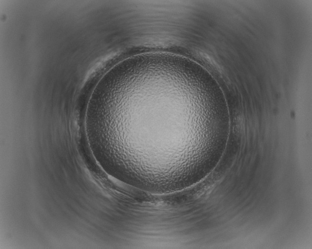 X0000068760688200604281213