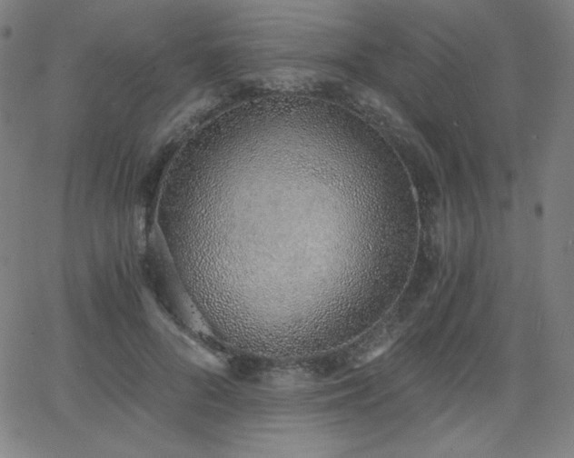 X0000068760696200604281213