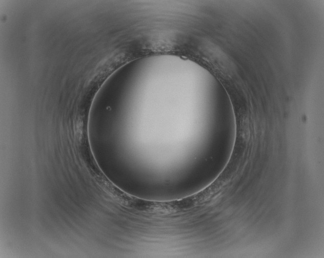 X0000068760697200604281213