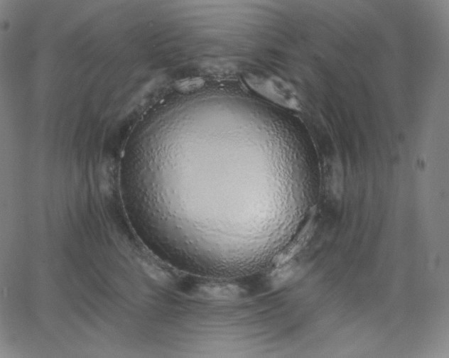 X0000068760712200604281212