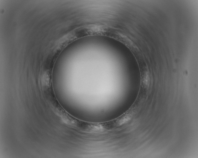 X0000068760715200604281212