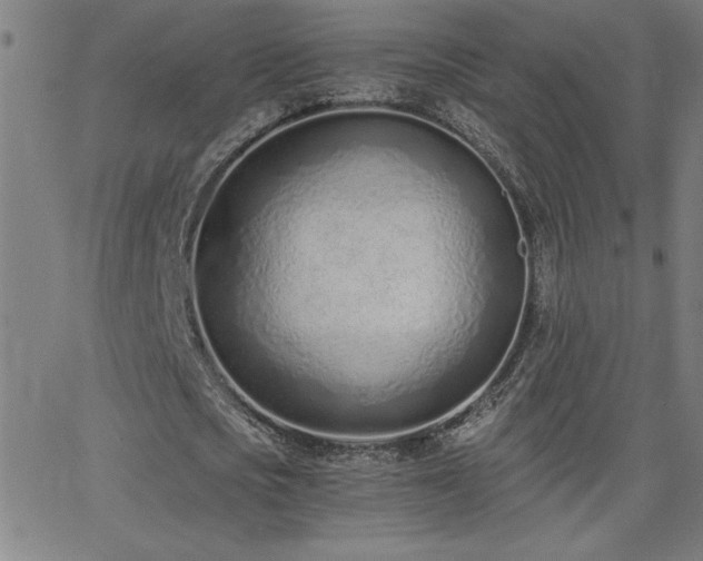 X0000068760721200604281212