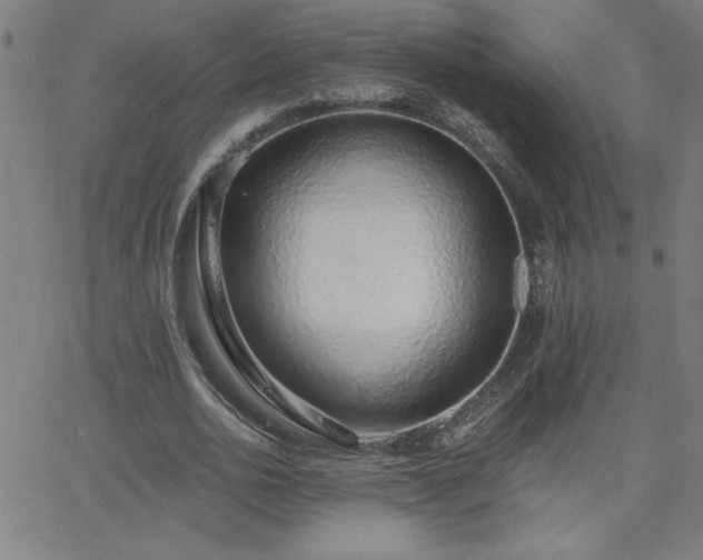 X0000068760726200604281212