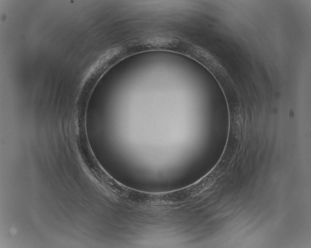 X0000068760734200604281212