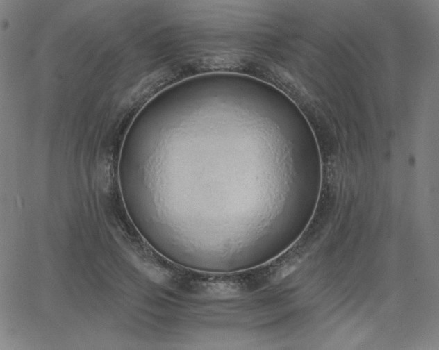 X0000068760741200604281212