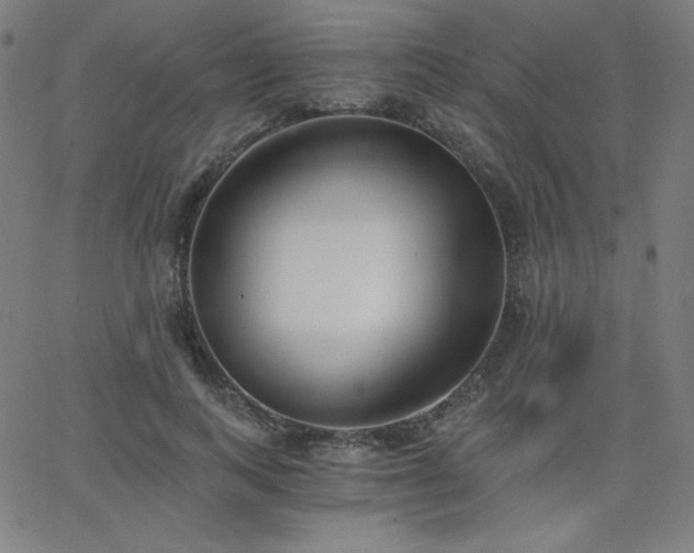 X0000068760743200604281212