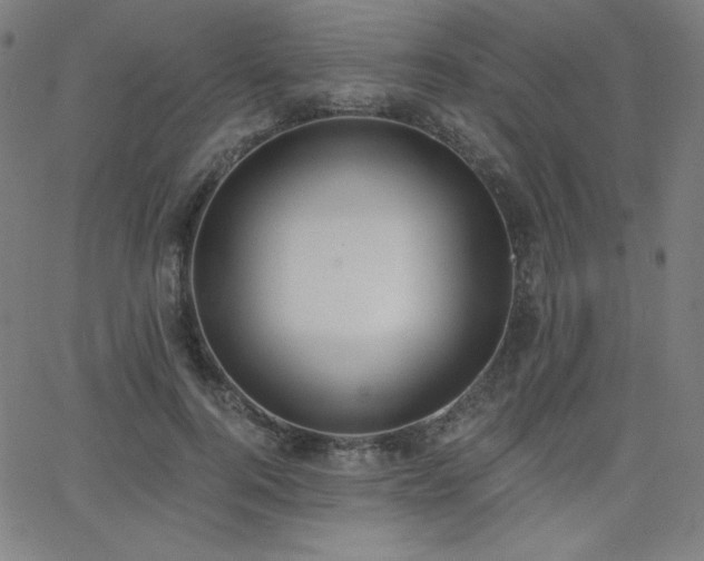 X0000068760744200604281212