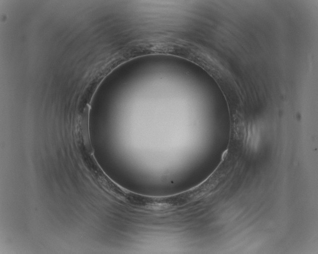 X0000068760748200604281212