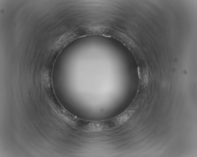 X0000068760764200604281212