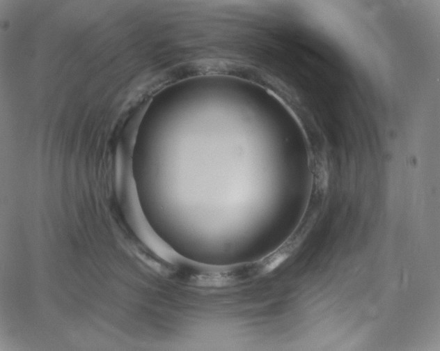 X0000068760766200604281212