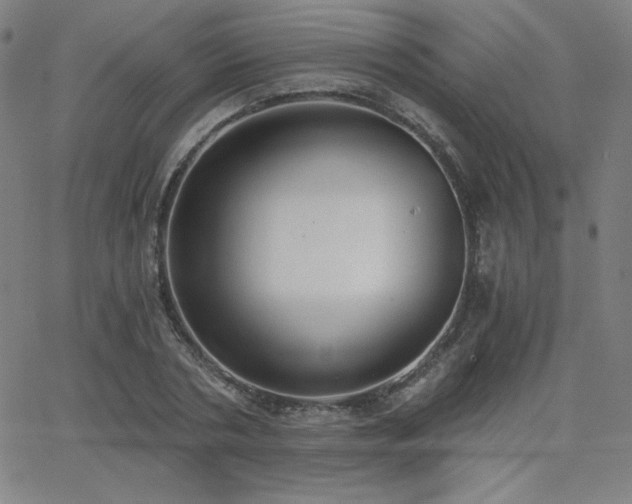 X0000068760786200604281211