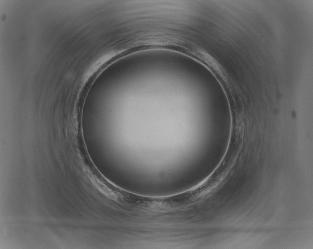 X0000068760787200604281211