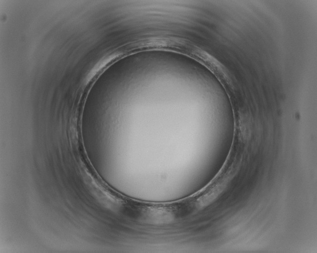 X0000068760794200604281211