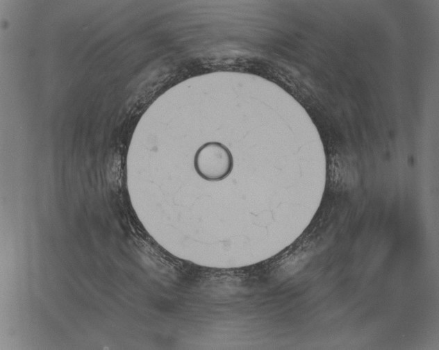 X0000068760820200604281210