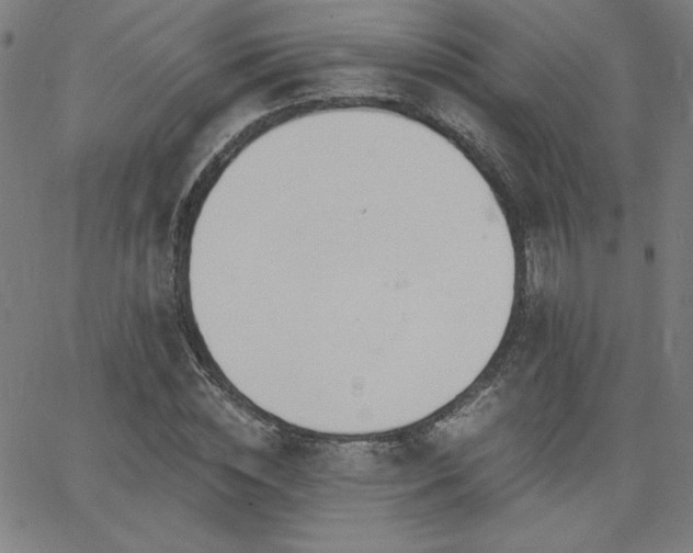 X0000068760828200604281210