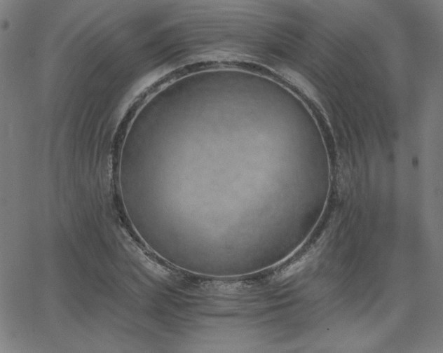 X0000068760831200604281210