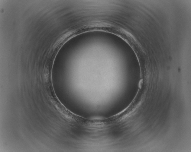 X0000068760833200604281210