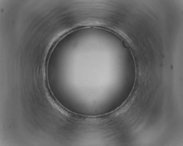 X0000068760840200604281210