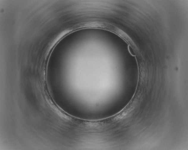X0000068760852200604281211