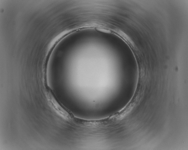 X0000068760854200604281211