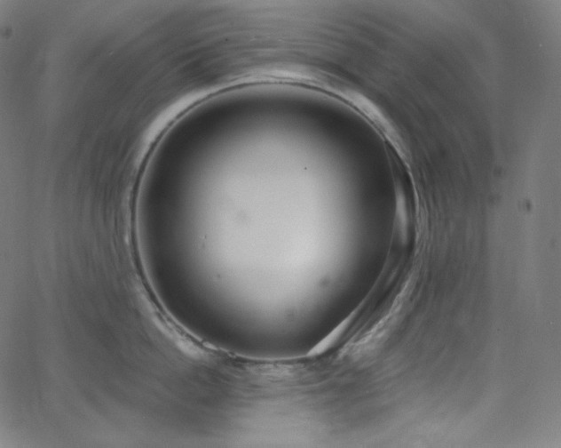X0000068760862200604281211