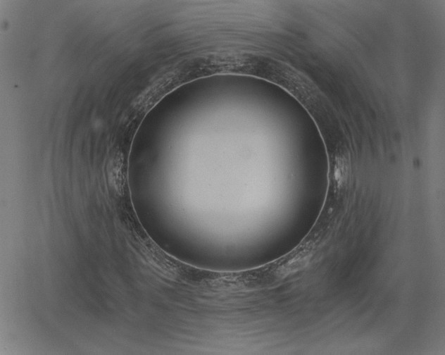 X0000068760867200604281210
