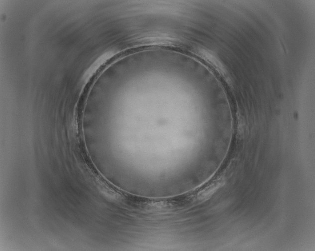 X0000068760883200604281210