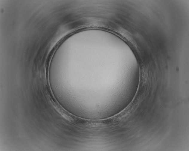 X0000068760886200604281210