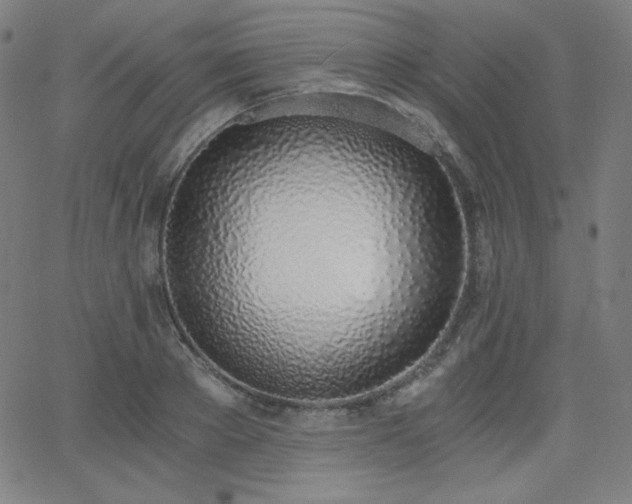 X0000068760889200604281210
