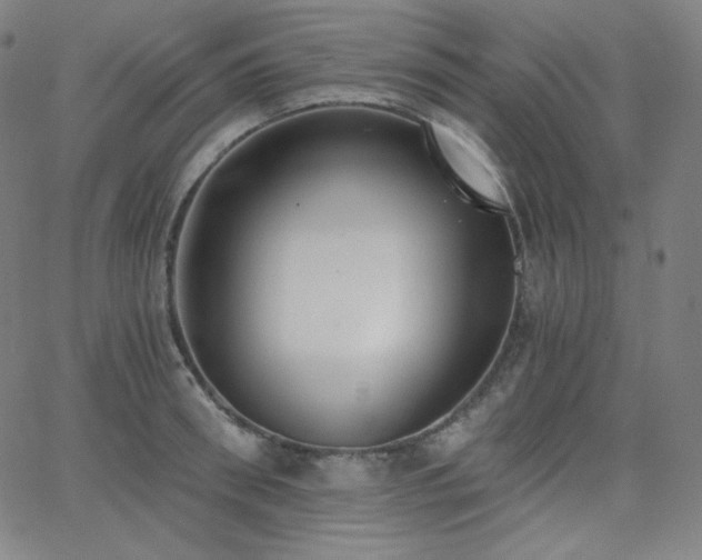 X0000068760898200604281209