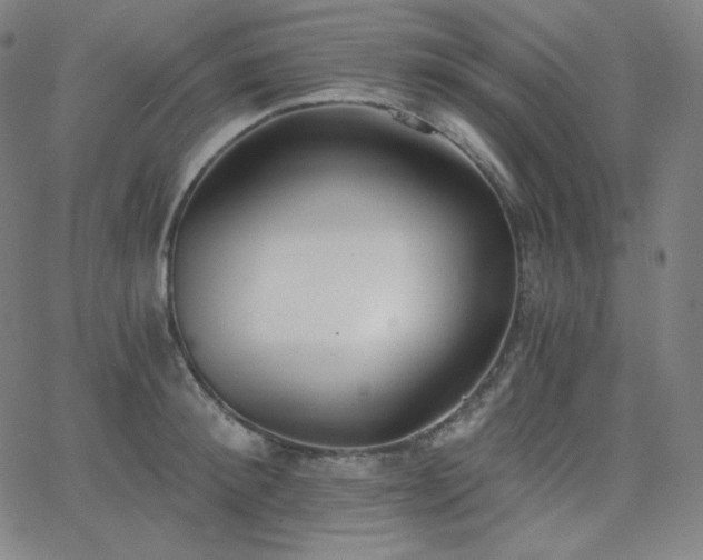 X0000068760900200604281209
