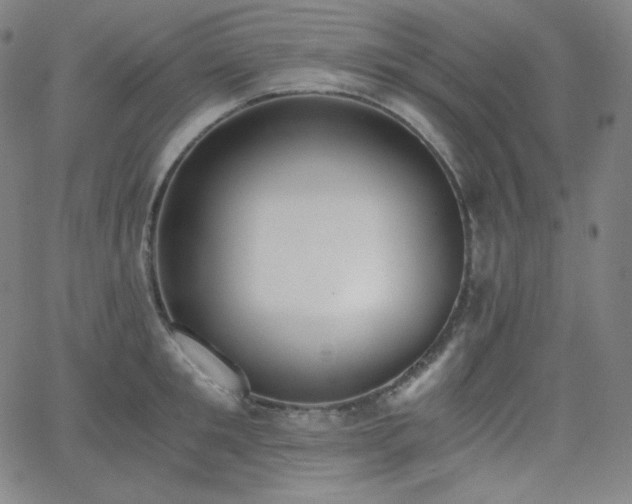X0000068760901200604281209