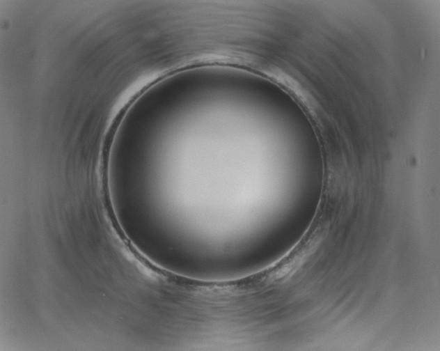 X0000068760902200604281209